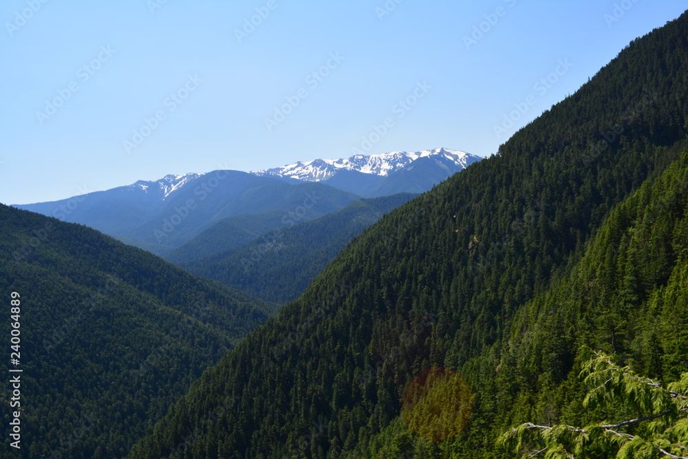 Rainier and Olympic Mountains