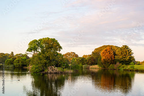 Photography autumn landscape with lake and trees