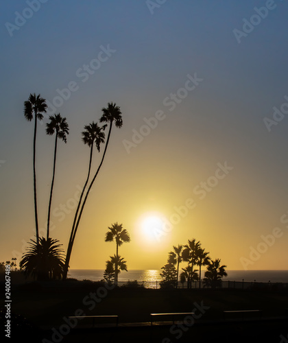 Pier on the California coast at sunset with palm trees