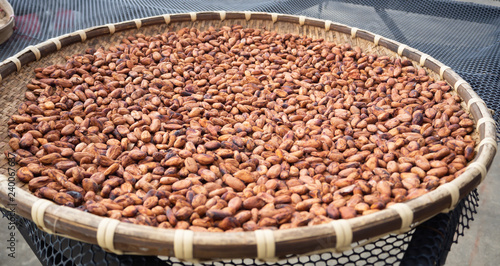 Cocoa beans through fermentation and drying process ready. Useful can be processed. Drinks, condiments, cosmetics It is a plant that is grown around the world. photo