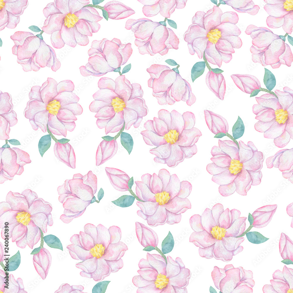Seamless background pattern of delicate pink Sakura blossom or Japanese flowering cherry symbolic of Spring in a random arrangement on a white background. Watercolor imitation. Seamless background pattern of delicate pink Sakura blossom or Japanese flowering cherry symbolic of Spring in a random arrangement on a white background. Watercolor imitation.