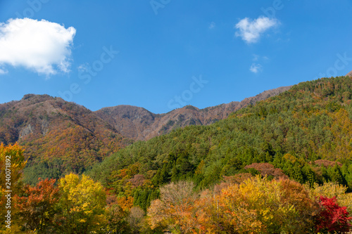 The mountains and the leaves are changing color