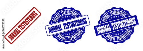 NORMAL TESTOSTERONE scratched stamp seals in red and blue colors. Vector NORMAL TESTOSTERONE signs with dirty texture. Graphic elements are rounded rectangles, rosettes, circles and text labels.