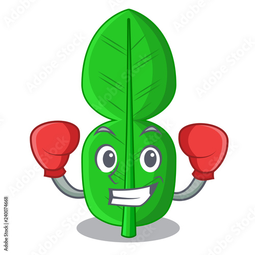 Boxing bergamot lime leaf isolated on mascot