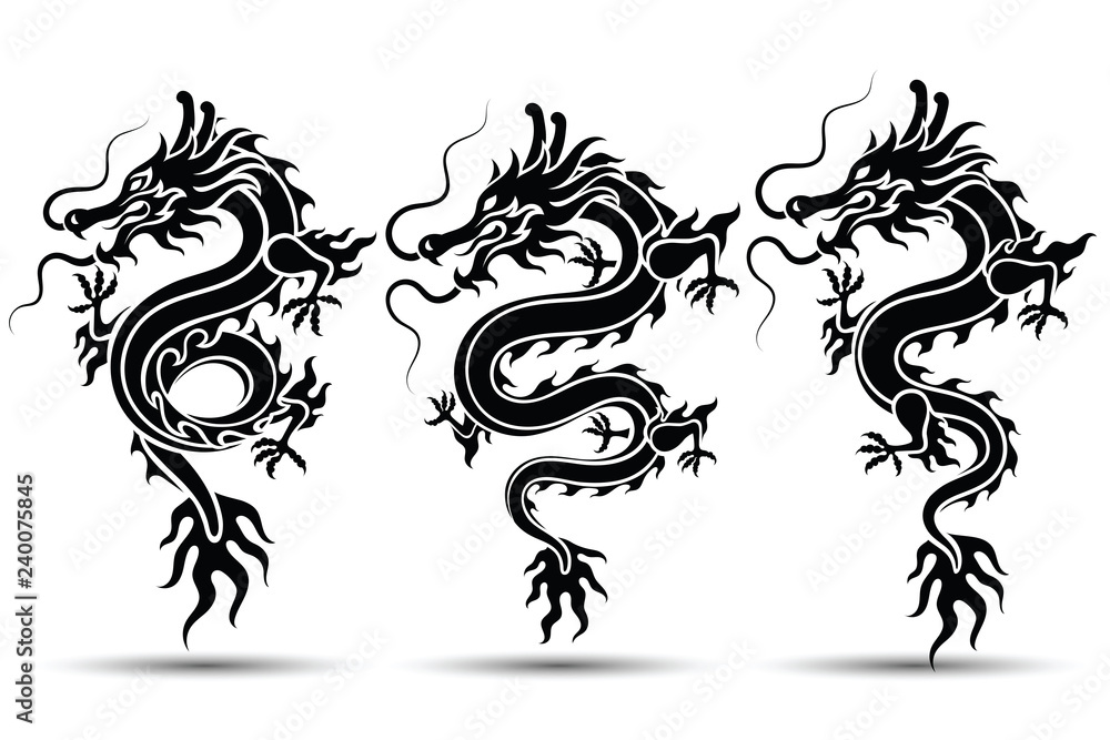 Fototapeta premium chinese Dragon vector