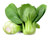 Bok choy vegetable isolated clipping path