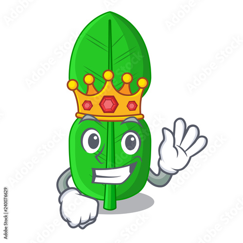 King bergamot leaf in cartoon a interrupting