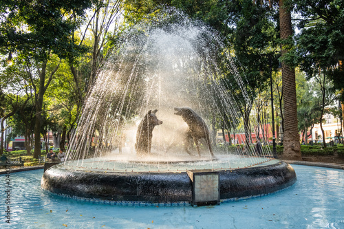 Fuente de los Coyotes, Springbrunnen Mexiko Stadt