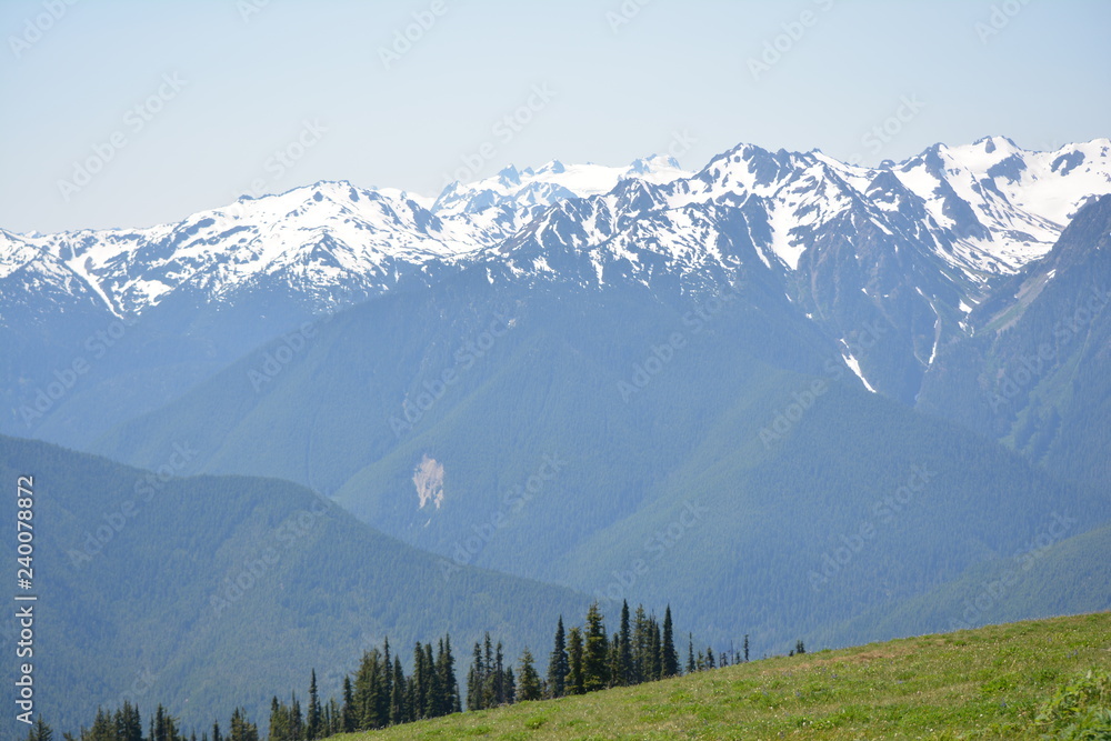 Olympic National Park