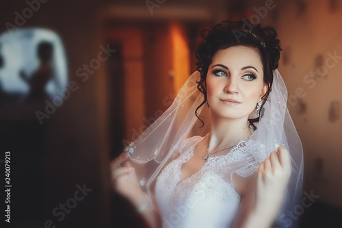 Fashion photo of beautiful bride with dark hair in elegant wedding dress posing in room in the wedding morning