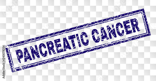 PANCREATIC CANCER stamp seal print with rubber print style and double framed rectangle shape. Stamp is placed on a transparent background.