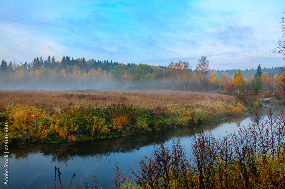 Foggy autumn landscape with small forest river.