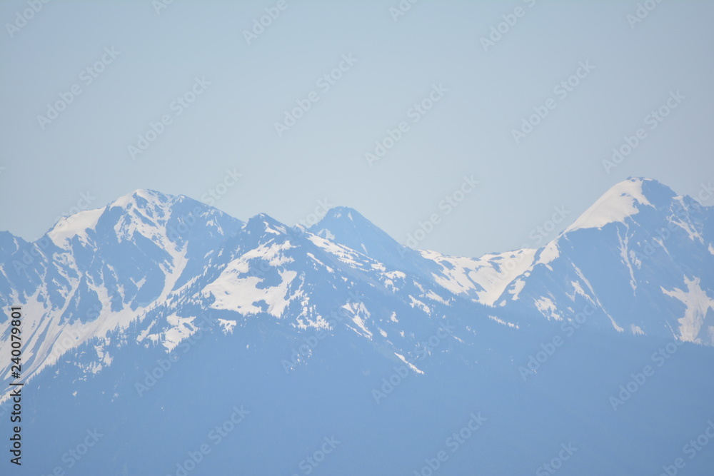 Fototapeta premium Olympic National Park