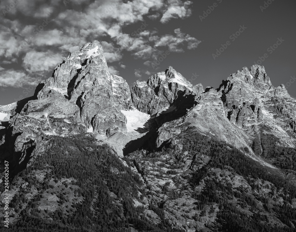 Obraz premium Grand Tetons