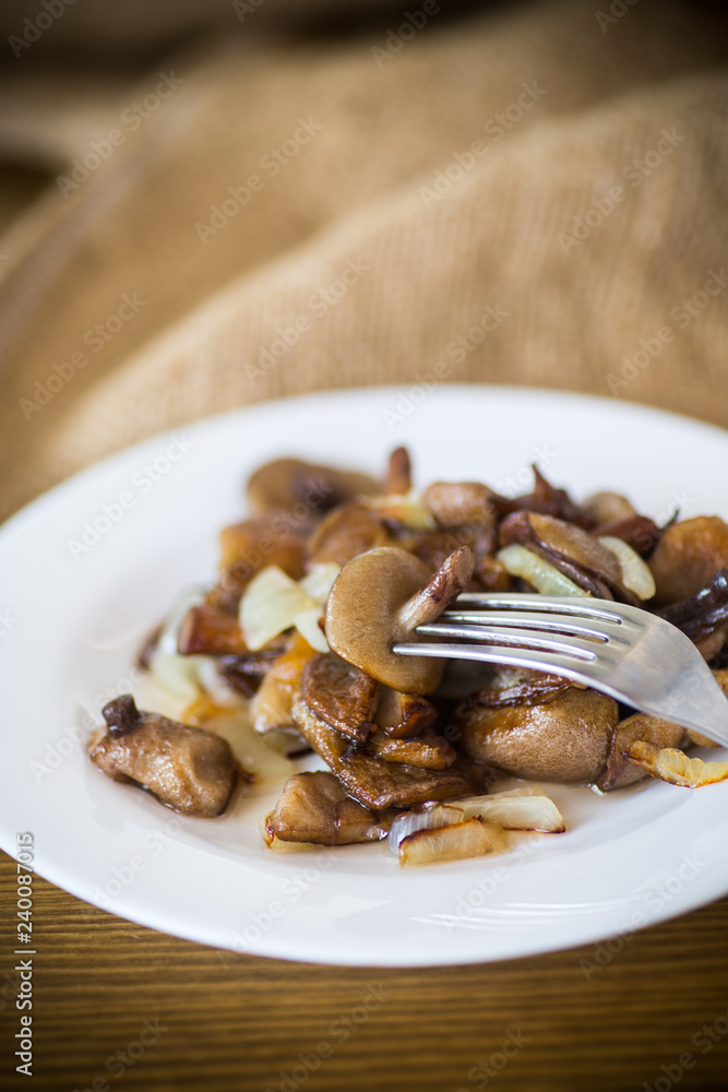 boletus mushrooms fried with onions in a plate boletus mushrooms fried with onions in a plate
