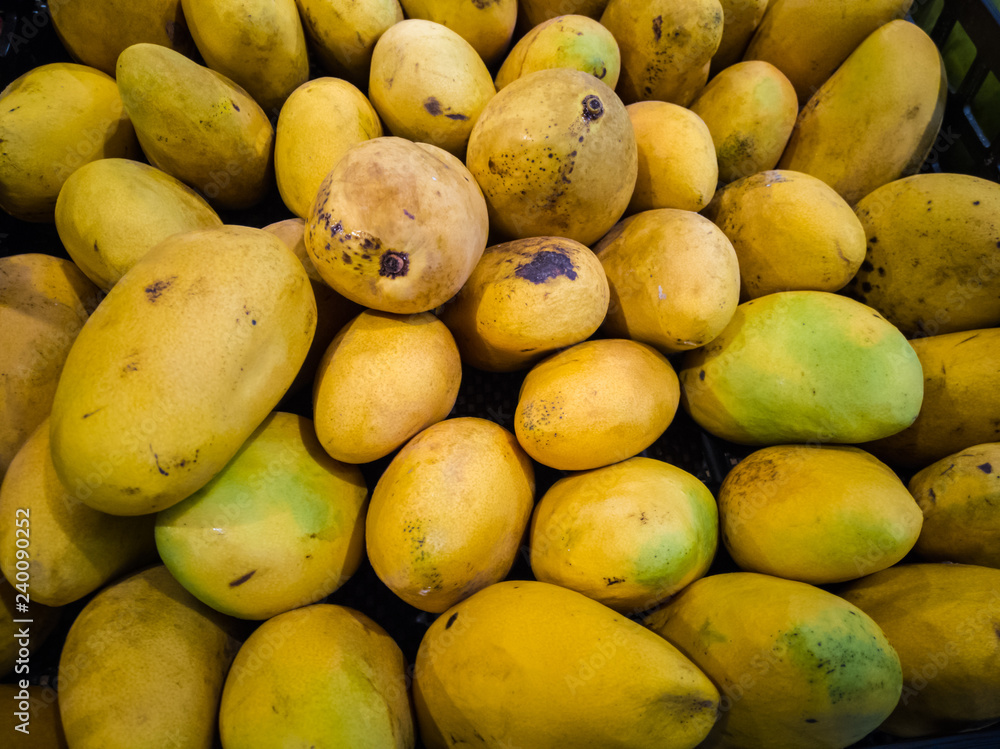 fresh mature mangoes