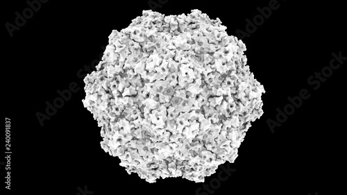 3D CG rendered image of scientifically accurate Feline Panleukopenia Virus (cat distemper virus) Capsid Structure based on PDB : 1FPV (surface occlusion style)
