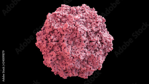 3D CG rendered image of scientifically accurate Feline Panleukopenia Virus (cat distemper virus) Capsid Structure based on PDB : 1FPV (surface style)