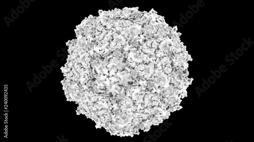 3D CG rendered image of scientifically accurate Polio Virus Capsid Structure based on PDB : 2PLV (surface occlusion style)