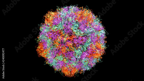 3D CG rendered image of scientifically accurate Polio Virus Capsid Structure based on PDB : 2PLV (ribbon style)
