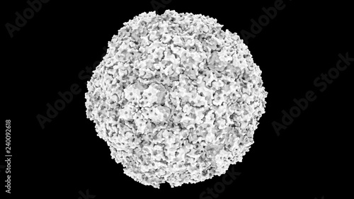 3D CG rendered image of scientifically accurate Human Rhino Virus (common cold virus) Capsid Structure based on PDB : 4RHV (surface occlusion style)