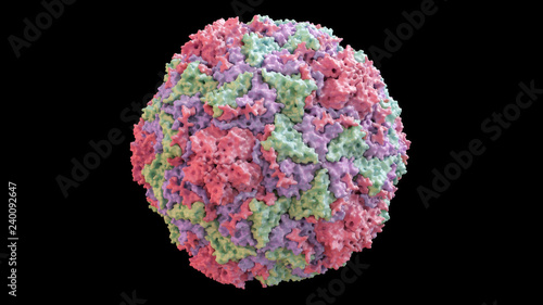 3D CG rendered image of scientifically accurate Human Rhino Virus (common cold virus) Capsid Structure based on PDB : 4RHV (surface style)