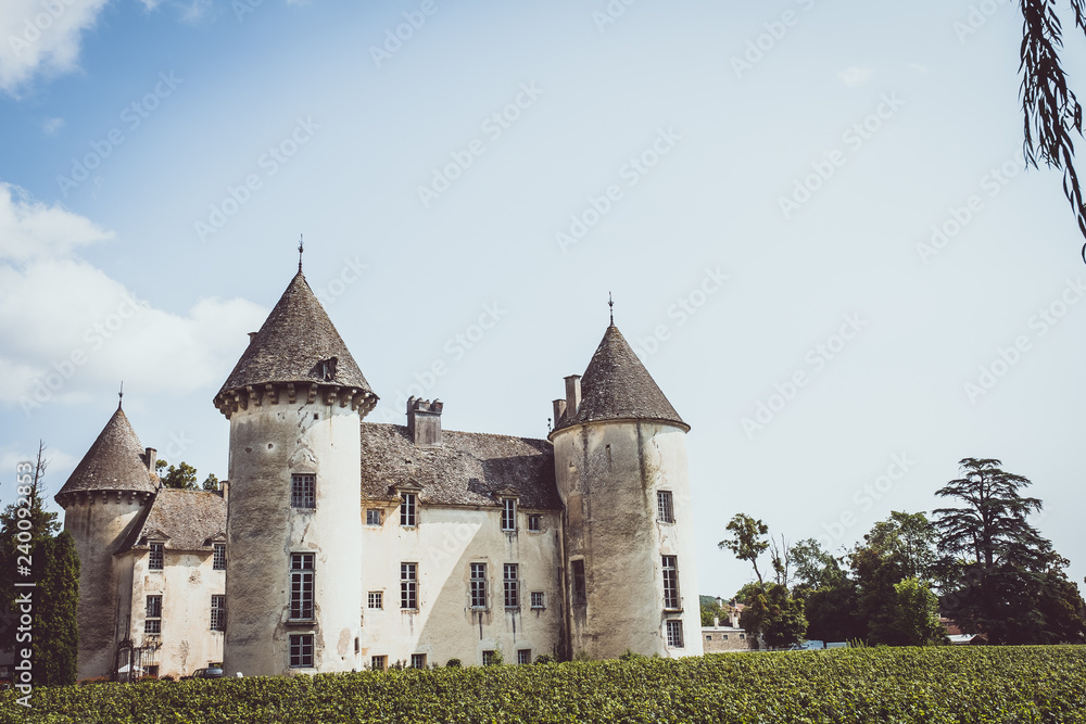 Chateau de Savigny les Beaune, Bourgogne, France
