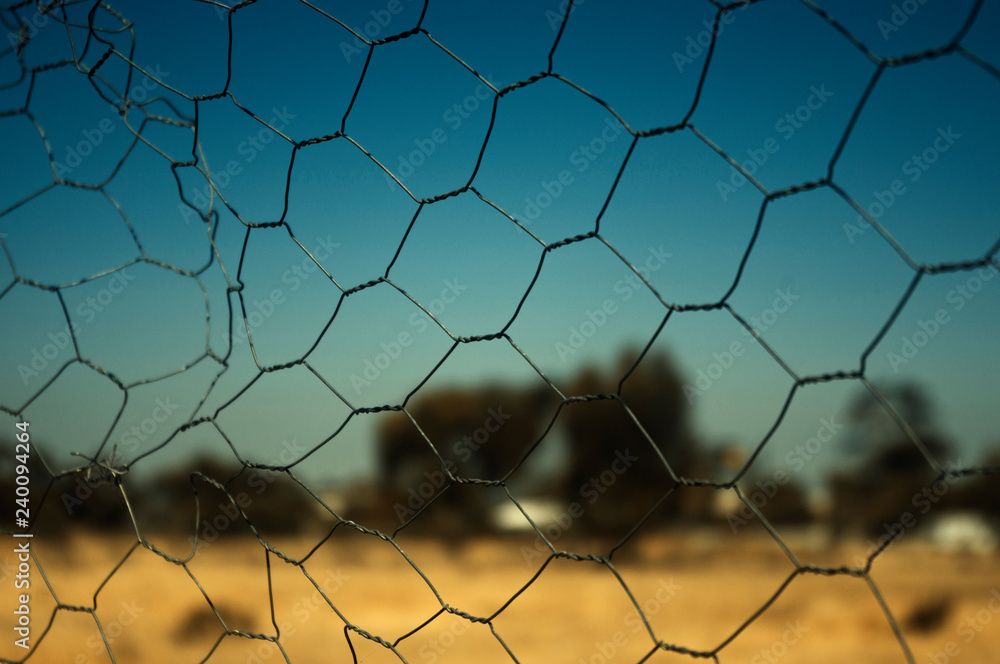 Fototapeta premium Wire Fence