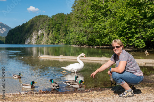 Alpsee mit Schwan und Wildenten im Allgäu