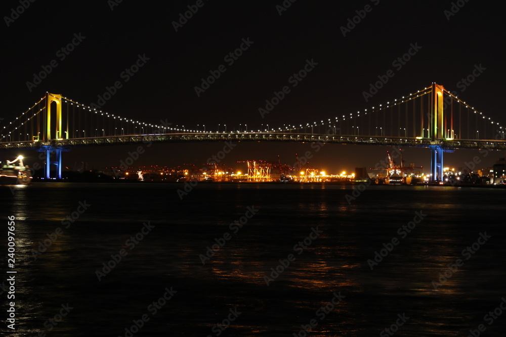 Fototapeta premium Wgląd nocy Tokyo Bay