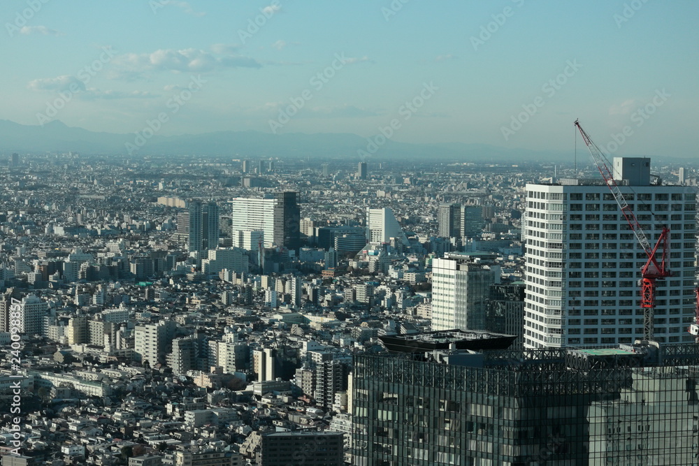 Fototapeta premium 東京の風景