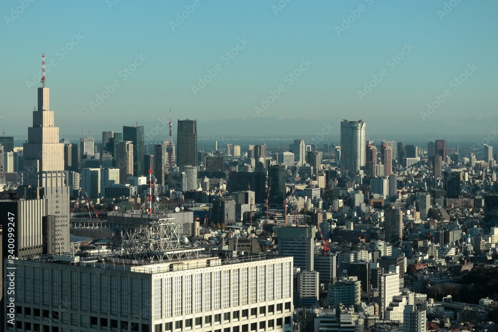 Fototapeta premium 東京の風景