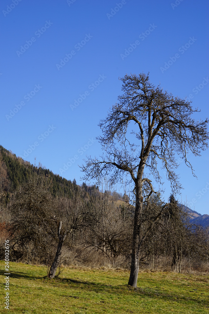 Winter. Winterpanorama. Winterstrasse. Winterurlaub. Winter. Winterpanorama. Winterstrasse. Winterurlaub.