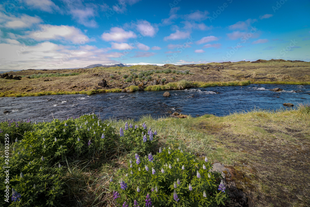 Frühlingshafte Flusslandschaft auf isländischer Hochebene