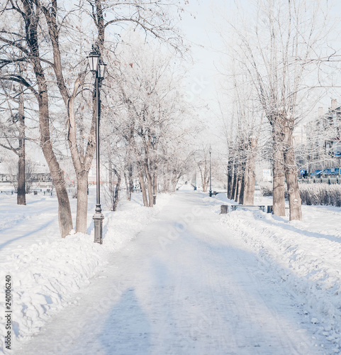 Winter park, snow-covered landscape © Jane Lane