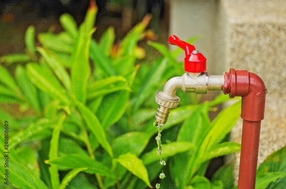 Water is flowing from red outdoor faucet ,is material in water supply system with copyspace for insert texts in environment , saving water concept Water is flowing from red outdoor faucet ,is material in water supply system with copyspace for insert texts in environment , saving water concept
