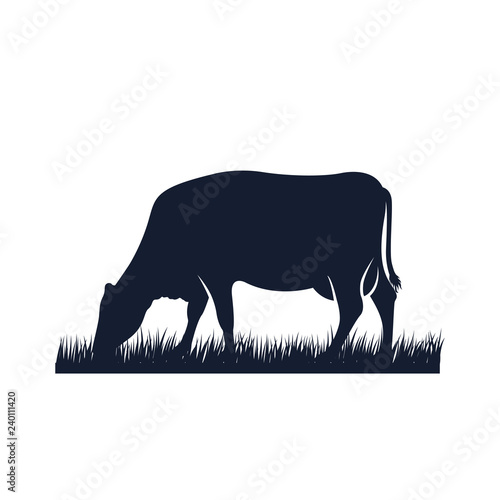cow silhouette vector icon. black angus vector illustration