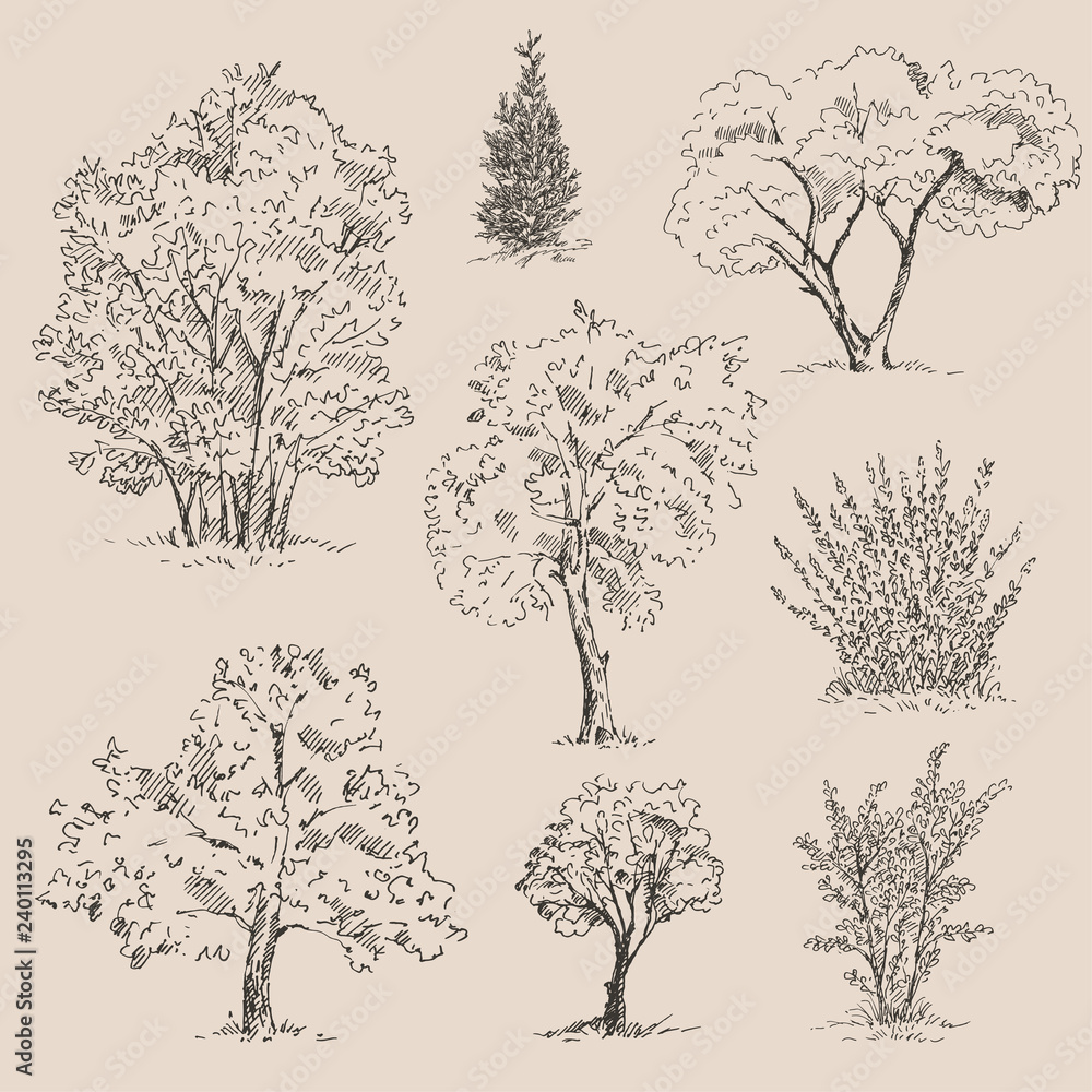 Fototapeta premium Zestaw szkiców ręcznie rysowane drzewa. Ilustracji wektorowych.
