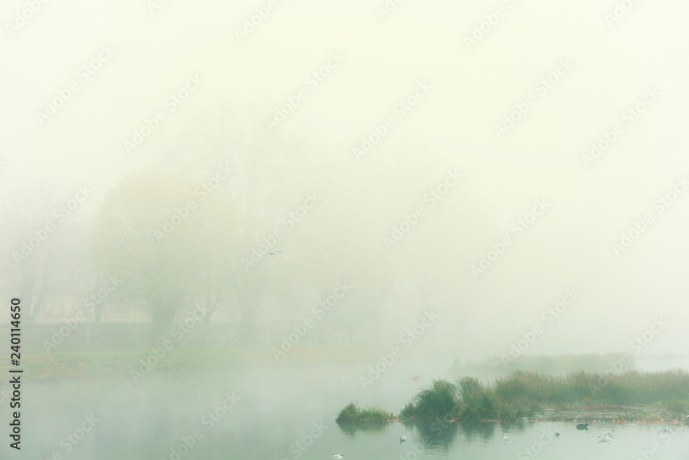 misty winter morning in Heyritz Park - Strasbourg misty winter morning in Heyritz Park - Strasbourg