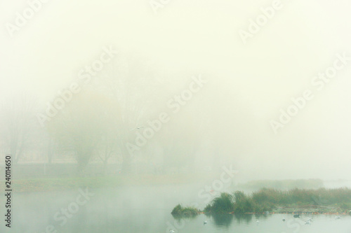 misty winter morning in Heyritz Park - Strasbourg