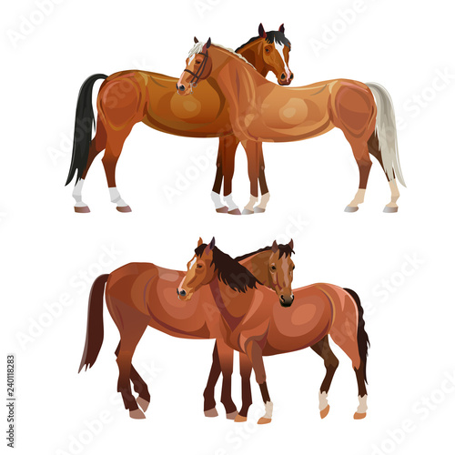 Two horses grooming each other