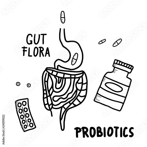 Probiotic vector concept illustration. Gut flora.
