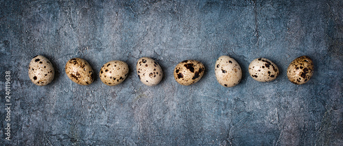Top view on wide banner with small quail eggs