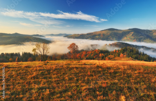 foggy morning in the Carpathian mountains. autumn foggy dawn