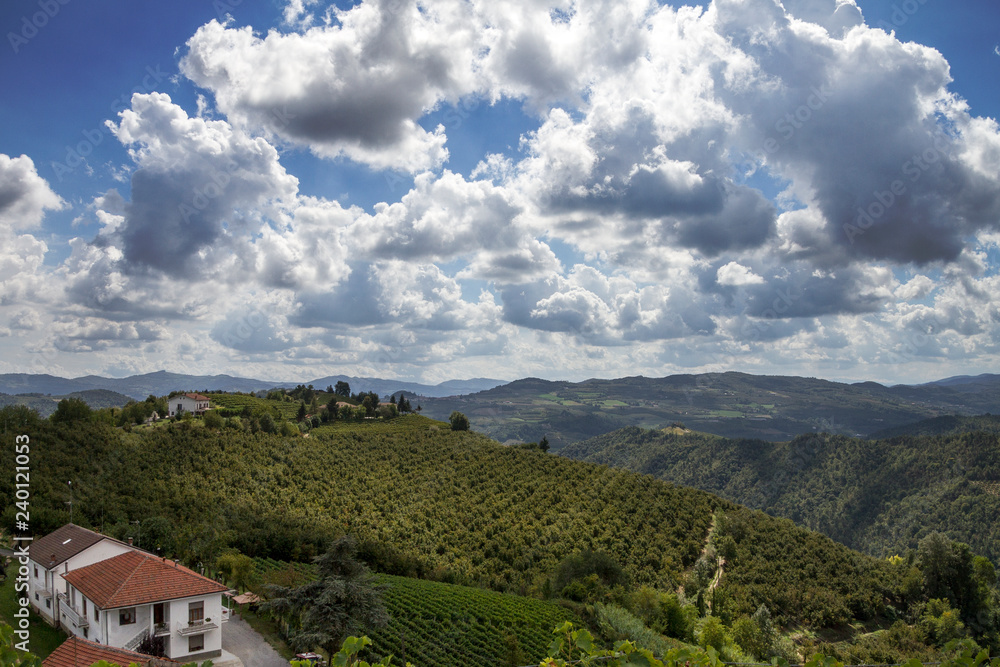 Panorama dell'Alta Langa (Langhe, Piemonte)