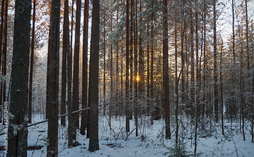 winter landscape © Fanfo
