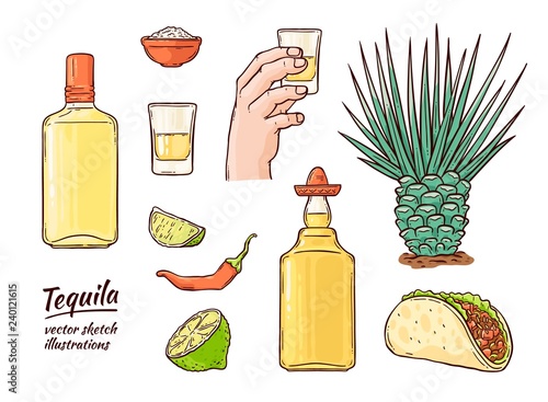 Vector tequila mexican symbols set. Glass bottle of alcohol drink, hand holding shot, line, cactus chili pepper and salt. Mexican traditional drink for party. Isolated illustration