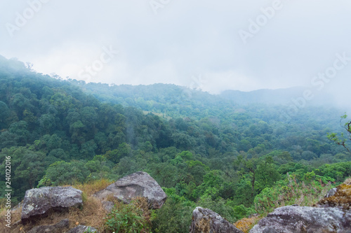 high cliff rock with heavy fog, cloud and mist in mon jong doi at Chaing mai, Thailand © moxumbic