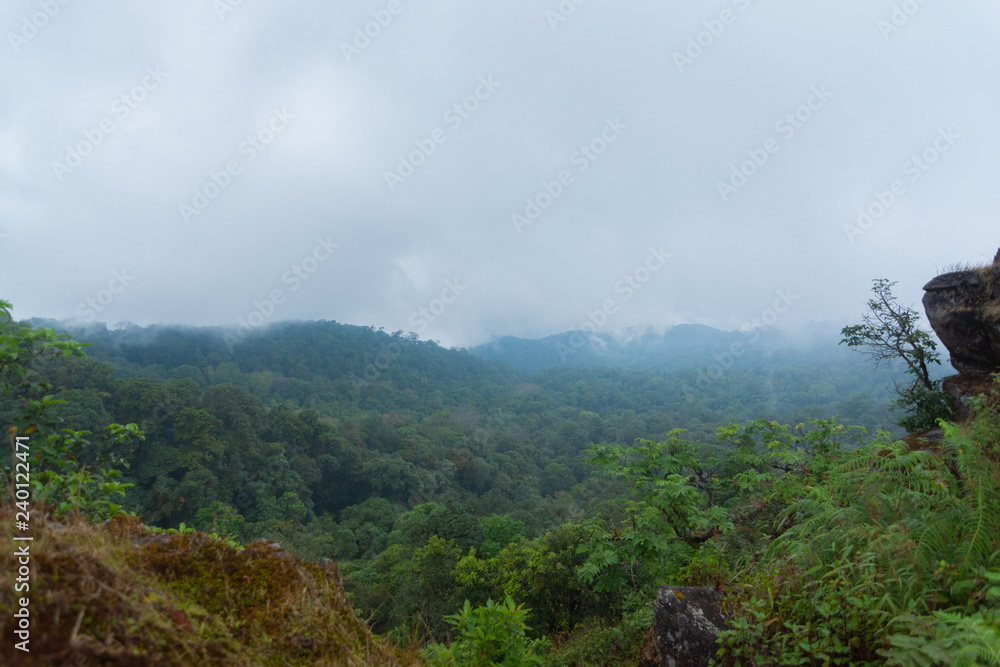 high cliff rock with heavy fog, cloud and mist in mon jong doi at Chaing mai, Thailand