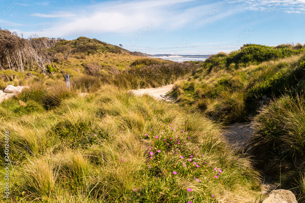 Wunderschönes Tasmanien - Grüne Landschaft an der Cradle Coast Wunderschönes Tasmanien - Grüne Landschaft an der Cradle Coast